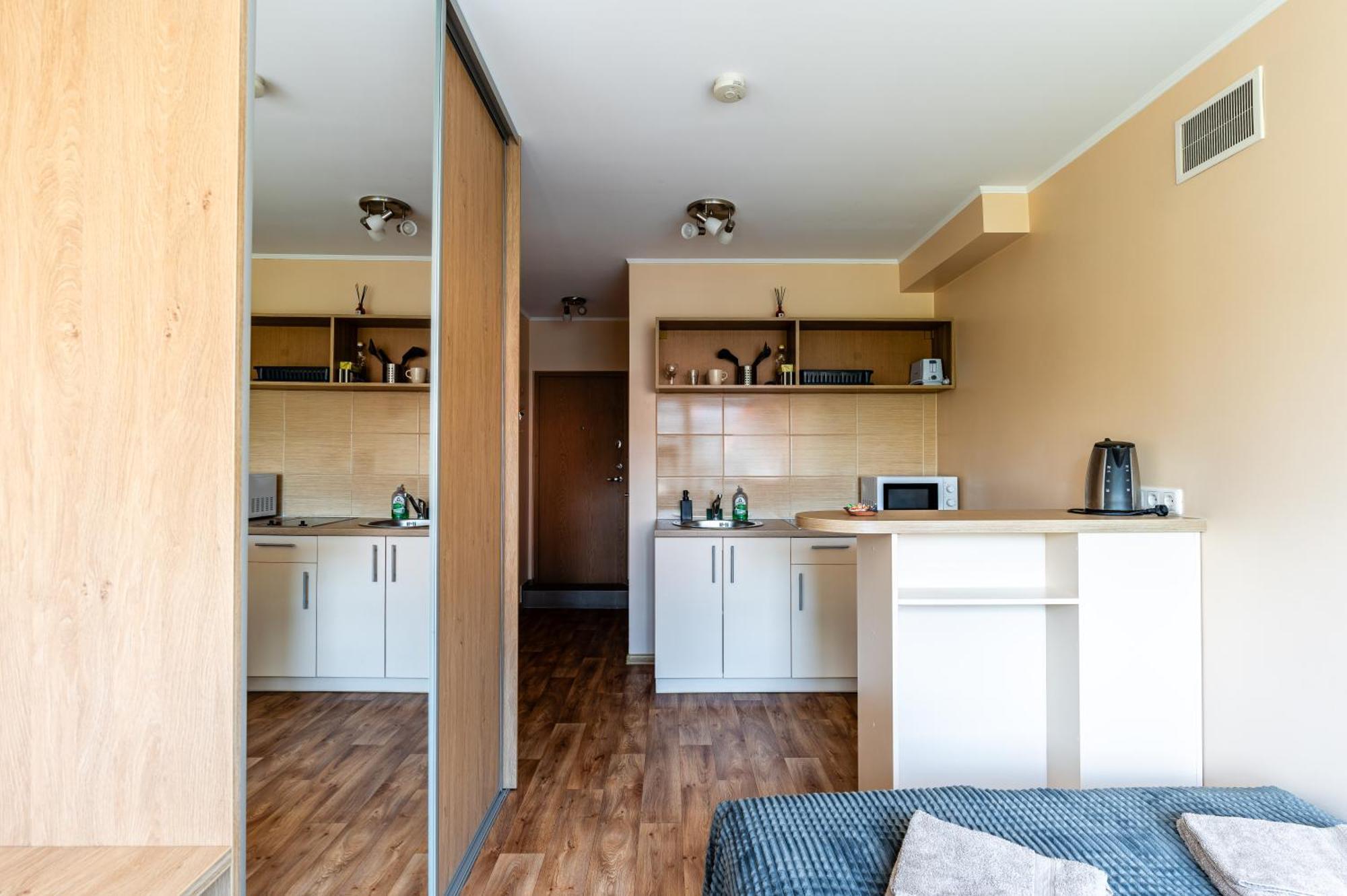 Studio Apartment Kaunas Extérieur photo