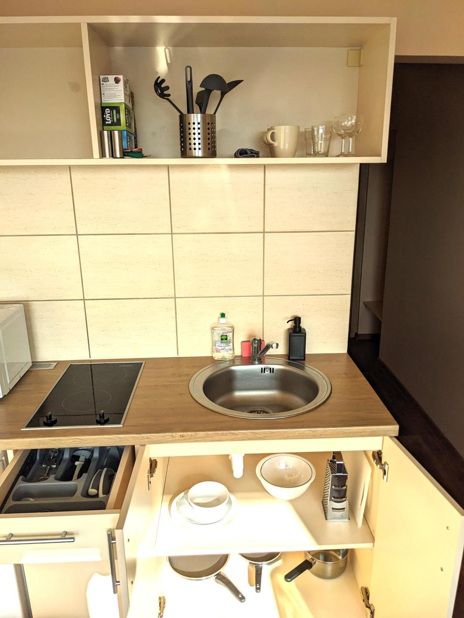 Studio Apartment Kaunas Extérieur photo
